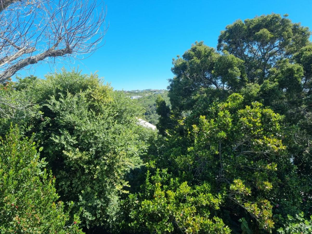 Modern Solar Powered 1 Bed Studio Apartment With Amazing Views Plettenberg Bay Esterno foto